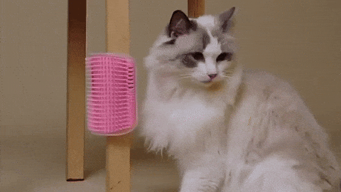Cat Self-Cleaning Massage & Grooming Brush